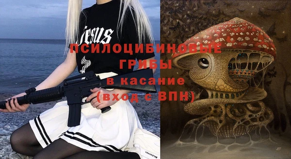 ГАЛЛЮЦИНОГЕННЫЕ ГРИБЫ Абинск