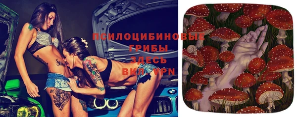 сатива Абдулино