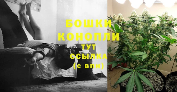 сатива Абдулино