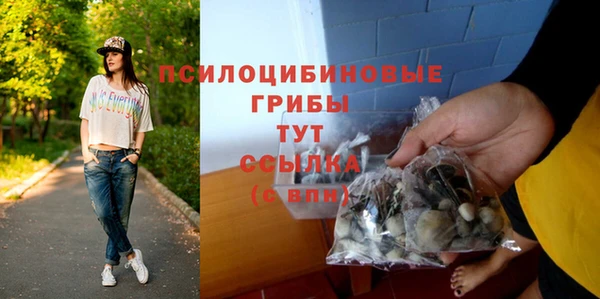 сатива Абдулино