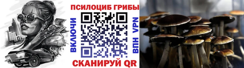 Псилоцибиновые грибы Psilocybine cubensis  даркнет формула  Прохладный 
